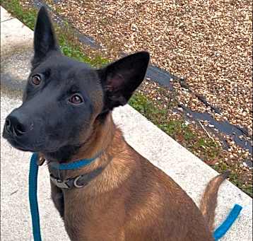 Photo of Daisy Duke - Located in Florida