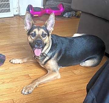 Photo of Chase-courtesy post