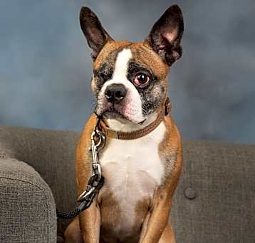 Photo of Reilly