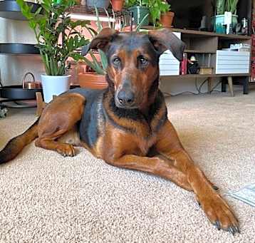 Photo of Skye