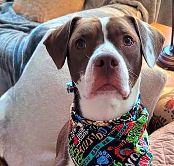 Photo of Benny