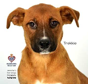 Photo of Trekkie