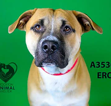 Photo of EROS