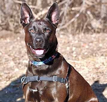 Photo of Blue