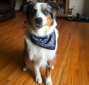 Photo of Asher