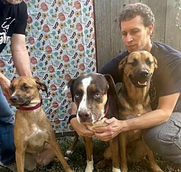 Photo of Luke/Chewie/Beethoven