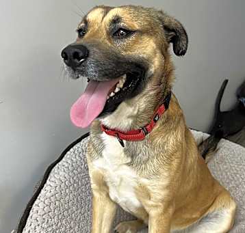 Photo of Cash