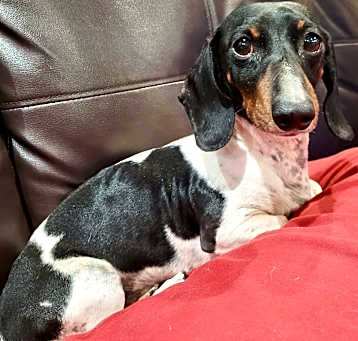 Photo of Monty