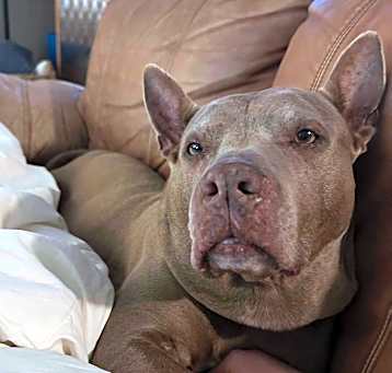 Photo of Sugar