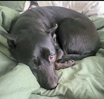 Photo of Arya