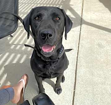 Photo of Blu