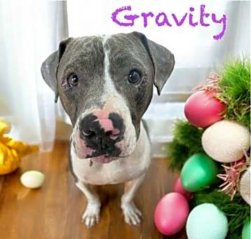 Photo of Gravity
