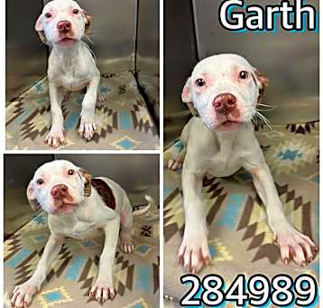 Photo of GARTH