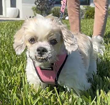 Photo of Nina