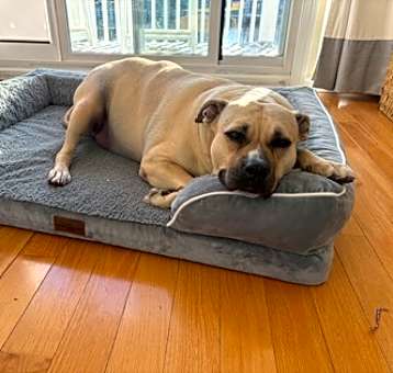 Photo of Chloe