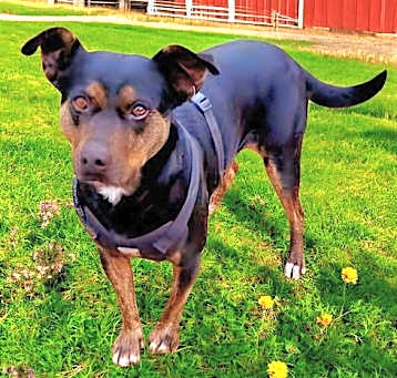 Photo of OAKLEY