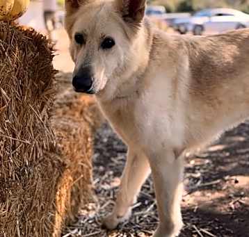 Photo of Ahna