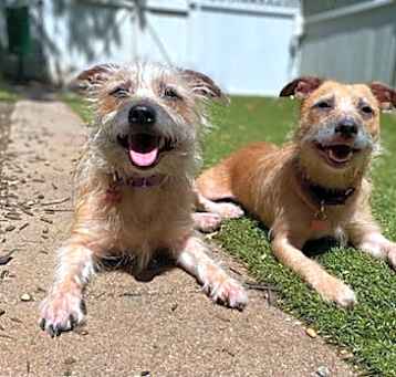 Photo of Alice + Hazel