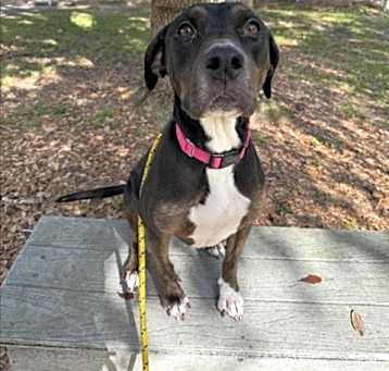 Photo of DAISY