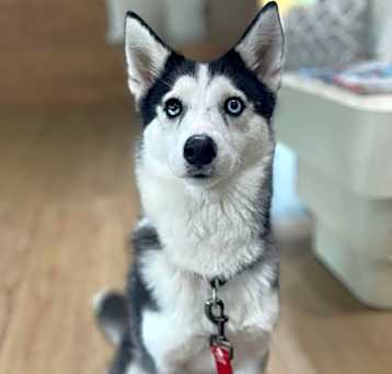 Photo of Mia