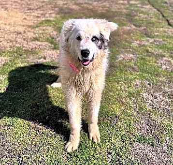 Photo of Shayla