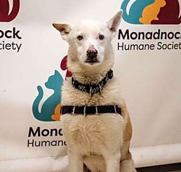 Photo of Tucker