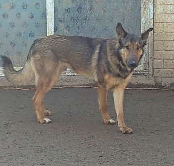 Photo of Sam