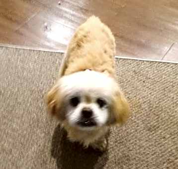 Photo of Charlie