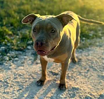Photo of Laken