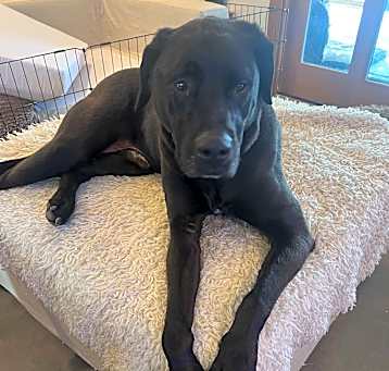 Photo of BRUCE