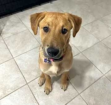 Photo of Rocket