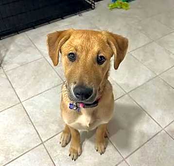 Photo of Rocket