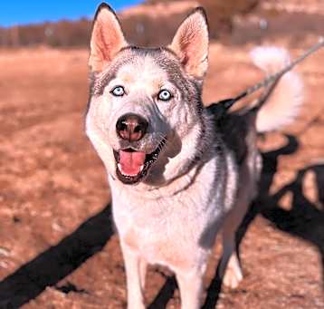 Photo of Blue