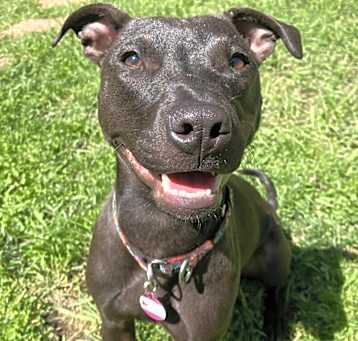 Photo of Mocha