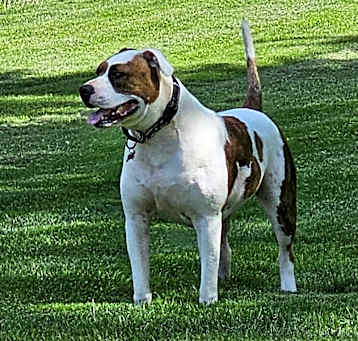 Photo of Leo