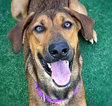 Photo of Winston