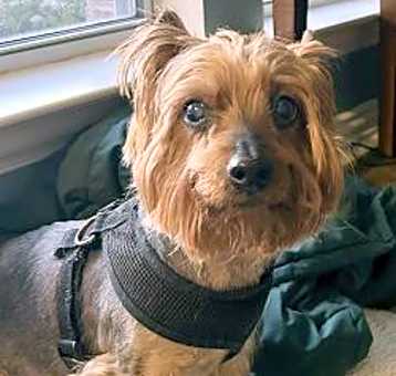 Photo of Zeus