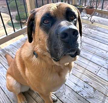 Photo of Max