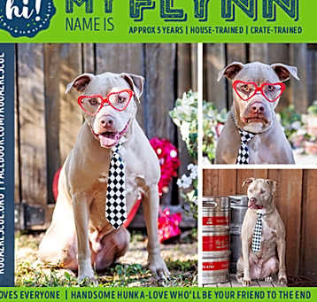 Photo of Flynn
