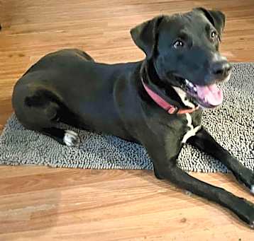 Photo of OAKLEY