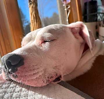 Photo of Oakley