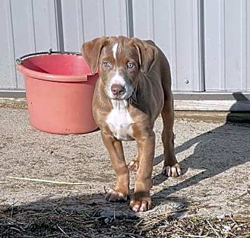 Photo of Twister