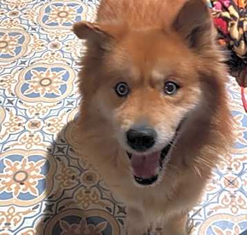 Photo of Edward