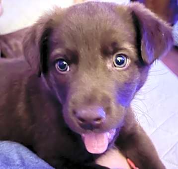 Photo of PENNY