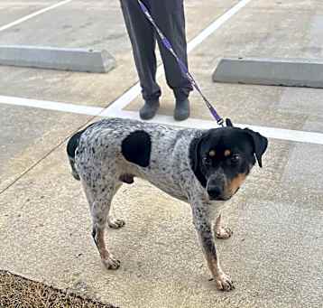 Photo of Spike