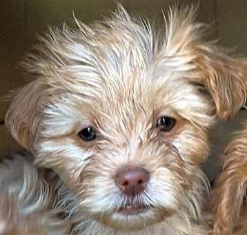 Photo of Polly
