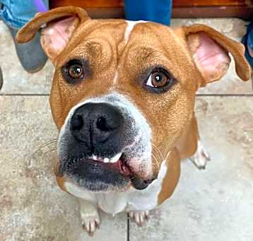 Photo of Maizey