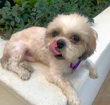 Photo of OBIE