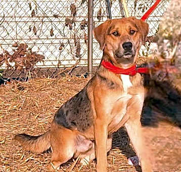 Photo of 250121  Toto