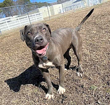 Photo of 2502-0810 Lana
